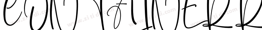CONTAINER REGULAR字体转换